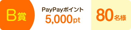 B賞 PayPayポイント 5,000pt 80名様