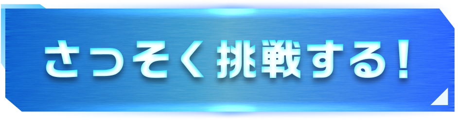 さっそく挑戦する！
