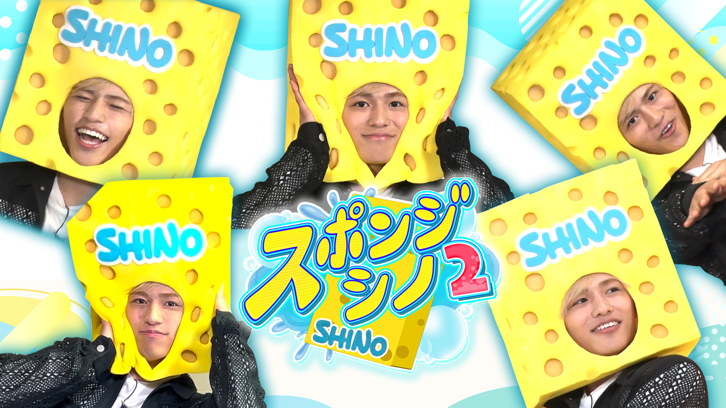 スポンジ・シノ